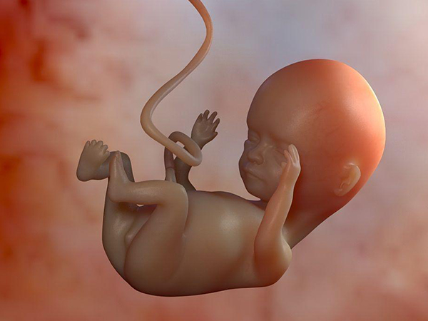 北醫三院胎停育掛婦科或生殖科