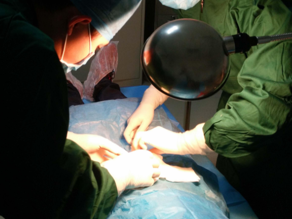 睪丸穿刺疼痛是有感覺