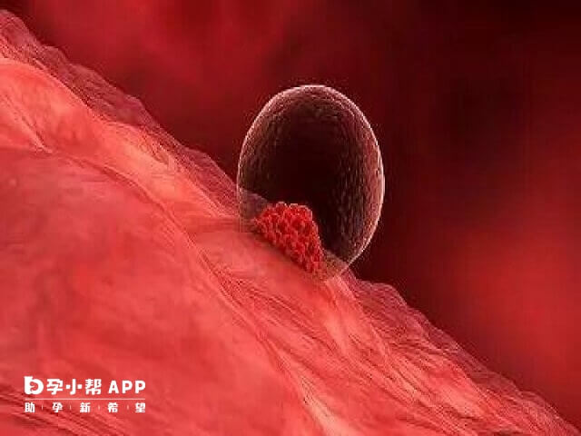 準備15萬去泰國做一次供卵試管嬰兒差不多夠得到