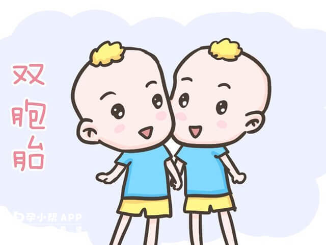 雙胎妊娠的原因