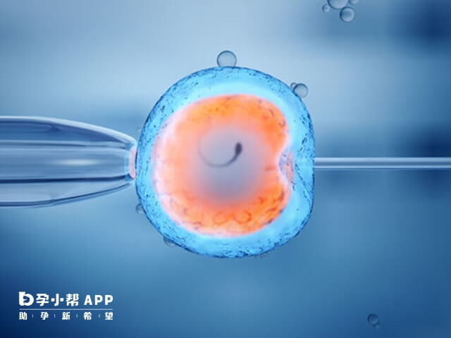 上海永遠幸做試管需要身體檢查