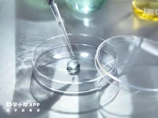 廣州試管費用大概在5-10萬元不等