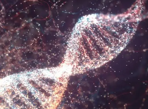 備孕前染色體檢查流程