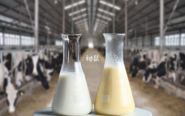 适合三岁宝宝吃的国产牛初乳品牌