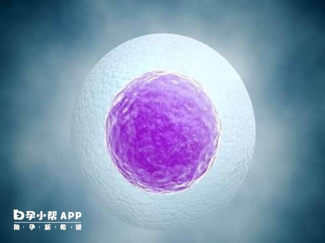 柬埔寨試管嬰兒技術