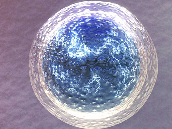 單身女性在俄羅斯可以冷凍卵子