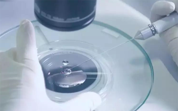 囊胚移植前內膜需轉化1-2天的時間