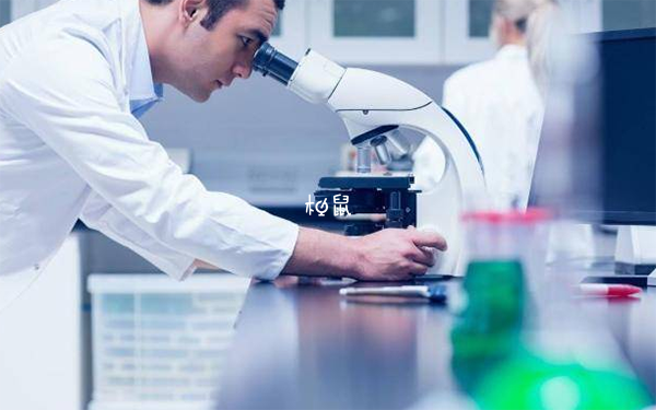 做了試管要躺在床上三天以上