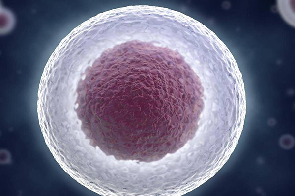 卵泡大小是確定夜針時間指標之一