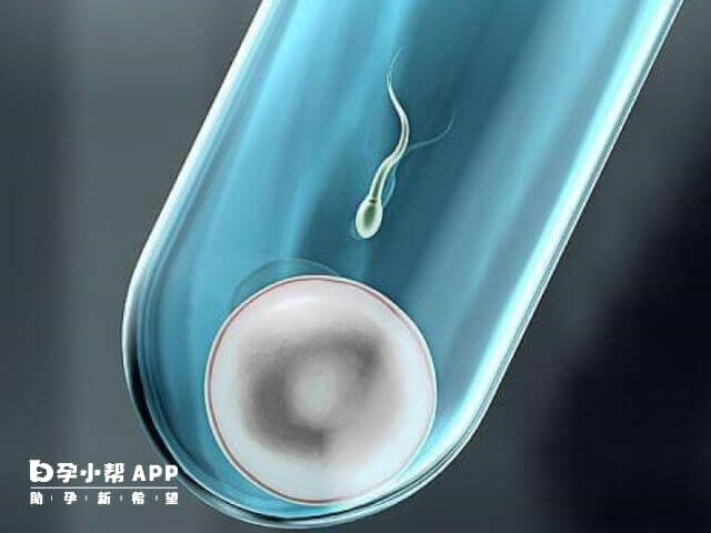 柬埔寨試管嬰兒移植技術算是不錯的,比國內好一些