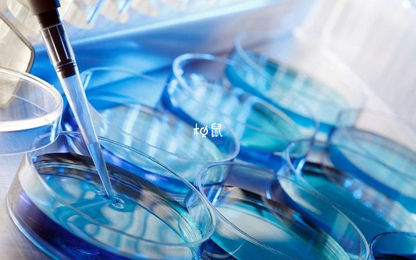 馬來西亞供精試管費用明細