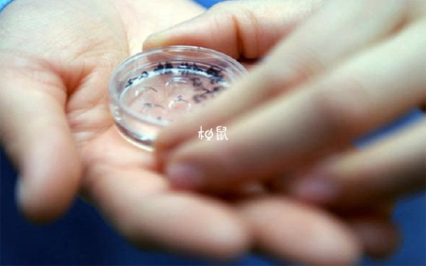 封闭抗体阴性会影响移植