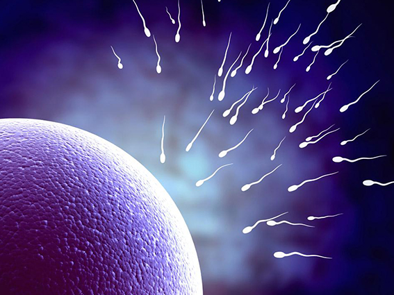 西囡醫院可做供卵試管