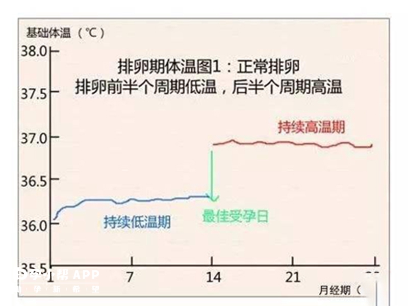 排卵日体温变化