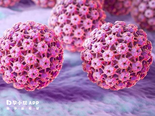 女方有乙肝病毒會降低移植成功率