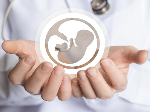 西囡醫院生殖科做試管的醫生都很好