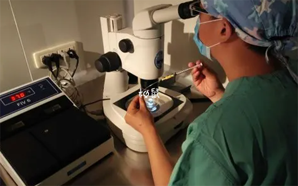 取卵後不出血很正常